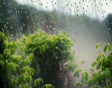 Pluie torrentielle
